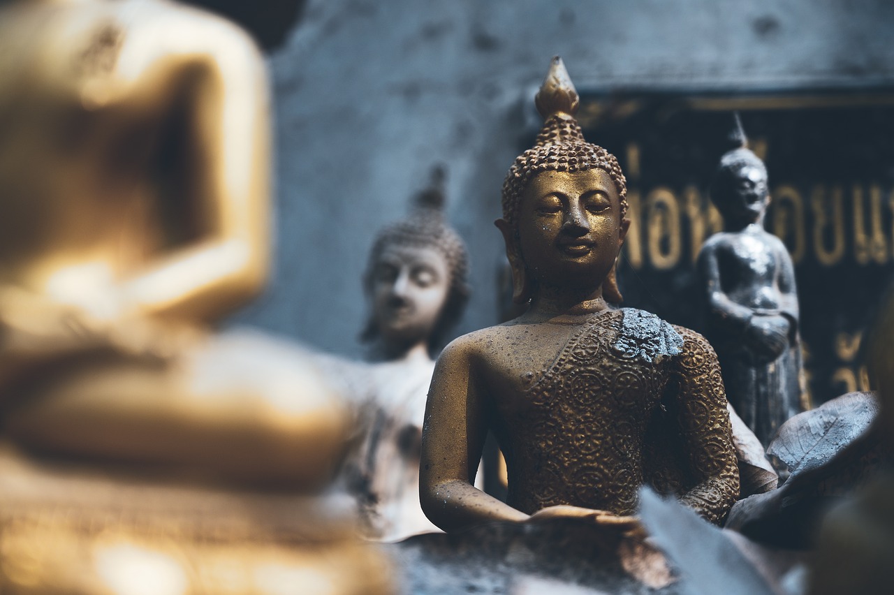 Kultura jako buddha se mi líbí. 